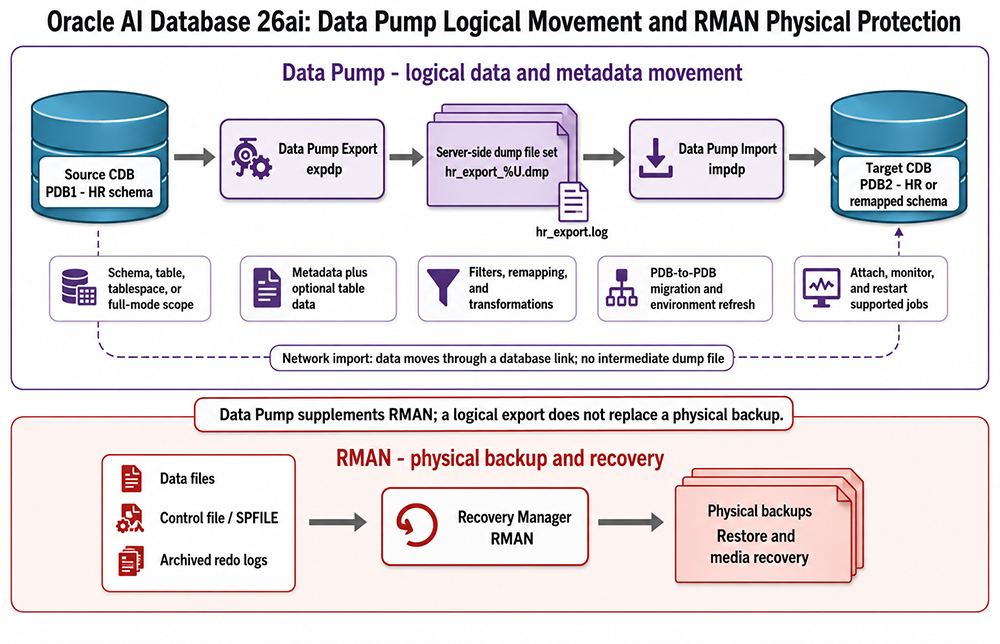 Oracle 26ai diagram showing Data Pump moving logical data and metadata between PDBs and a separate RMAN physical backup and recovery workflow.