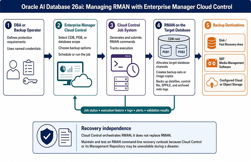 Oracle AI Database 26ai workflow from a DBA through Enterprise Manager Cloud Control and its job system to RMAN, CDB and PDB scope,
          backup destinations, monitoring, and an independent command-line recovery runbook
