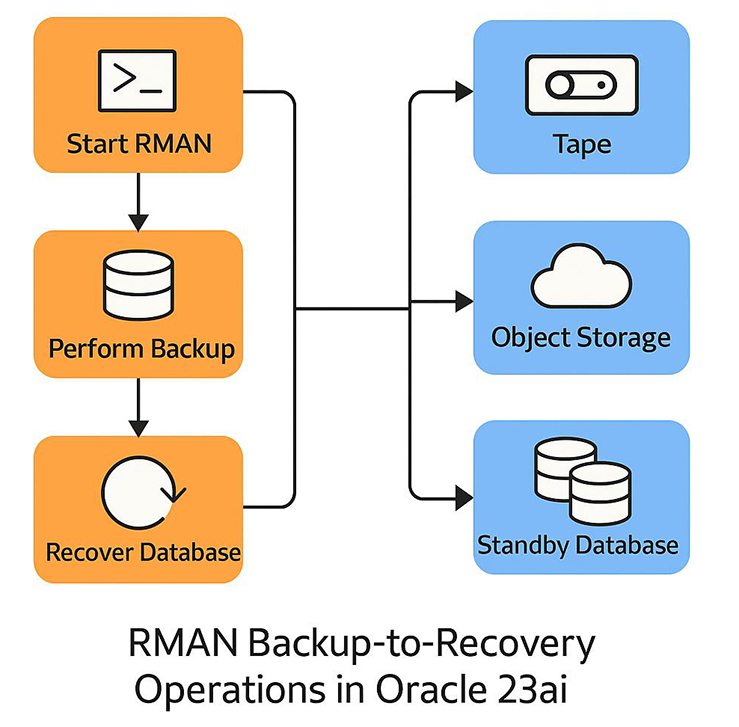 RMAN Backup Recovery Oracle23ai