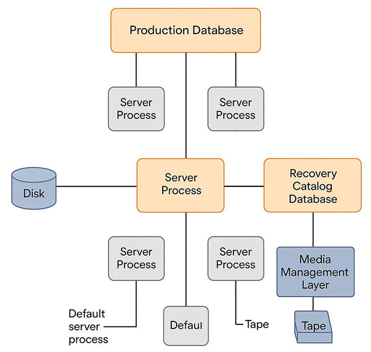 RMAN Server Processes Oracle23ai