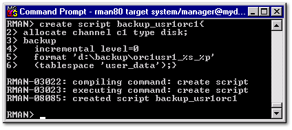 This image displays the syntax to back up USER_DATA.