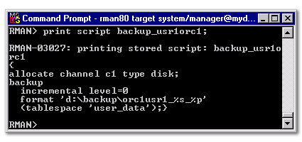 Print of the backup_userdata stored script