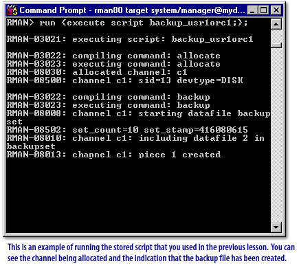 1) Example of running the stored script that you used in the previous lesson.