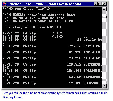 2) Here you can see the running of an operating system command as illustrated in a simple directory listing