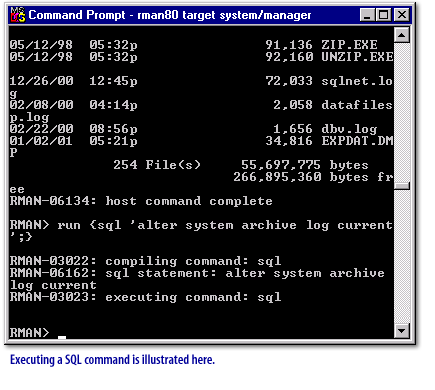 3) Executing a SQL command is illustrated here