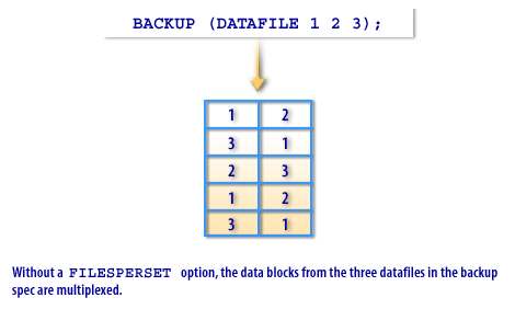1) Files per Set 1