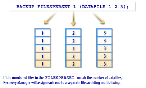 2) Files per Set 2