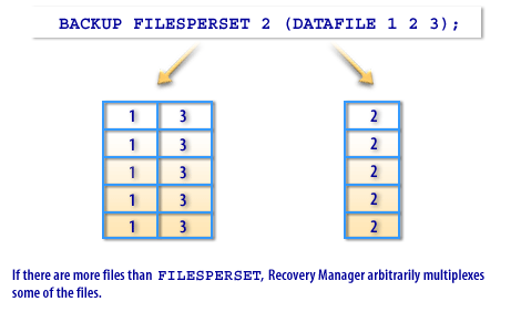 3) Files per Set 3