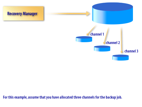 1) Specific Channel 1