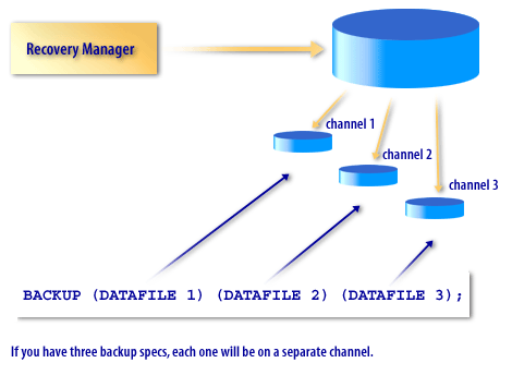 3) If there are five individual archive logs, you will have two for each of the first two channels and one for the last channel.