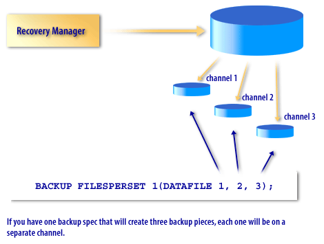 4) If there are nine individual archive logs, you will have more than one backup set per channel.