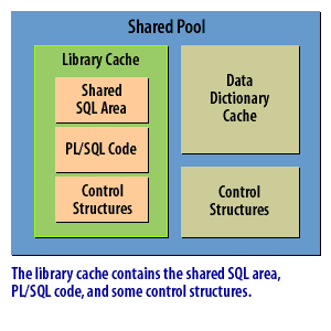 1) The library cache contains the shared SQL area, PL/SQL code, and some control structures.