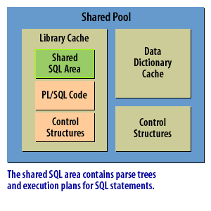 2) The shared SQL area contains parse trees, and execution plans for SQL statements.