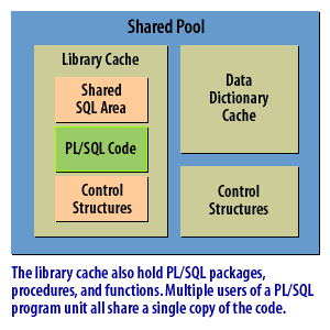 3) The library cache holds PL/SQL packages, procedures, and functions. Multiple users of a PL/SQL program unit all share a single copy of the code.