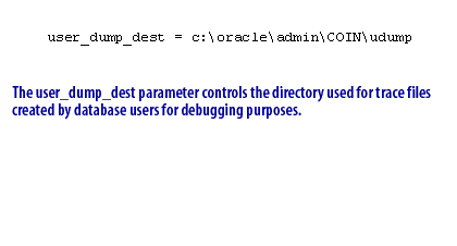 3) The user_dump_dest parameter controls the directory used for trace files created by database users for debugging purposes.