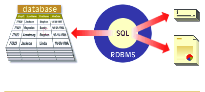 A feature rich RDBMS provides tools to generate invoices, payroll checks, financial reports, and other userful documents.