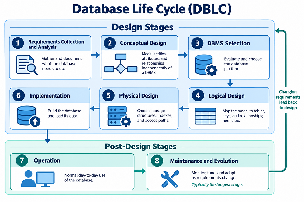 Database Life Cycle (DBLC). Design Stages: 1, Requirements Collection and Analysis, gather and document what the database needs to do. 2, Conceptual Design, model entities, attributes, and relationships independently of a DBMS. 3, DBMS Selection, evaluate and choose the database platform. 4, Logical Design, map the model to tables, keys, and relationships, normalize. 5, Physical Design, choose storage structures, indexes, and access paths. 6, Implementation, build the database and load its data. Post-Design Stages: 7, Operation, normal day-to-day use of the database. 8, Maintenance and Evolution, monitor, tune, and adapt as requirements change, typically the longest stage. A feedback arrow runs from Maintenance and Evolution back to the design stages, labeled changing requirements lead back to design.