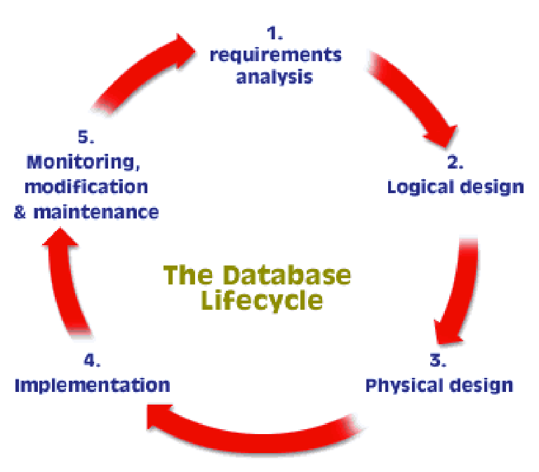 Database Life Cycle Design Stages (Description)