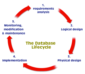 The database lifecyle