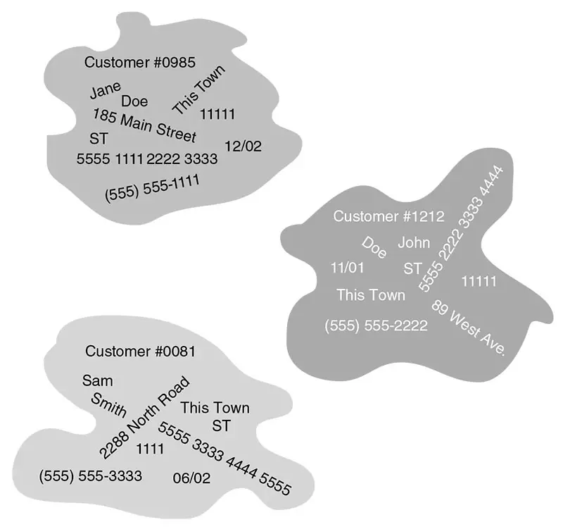 Figure 5-3 Instances of a customer entity in a database