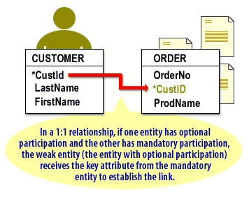 In a 1:1 relationship, if one entity has optional participation and the other has mandatory participation, the weak entity receives the key attribute from the mandatory entity to establish the link.