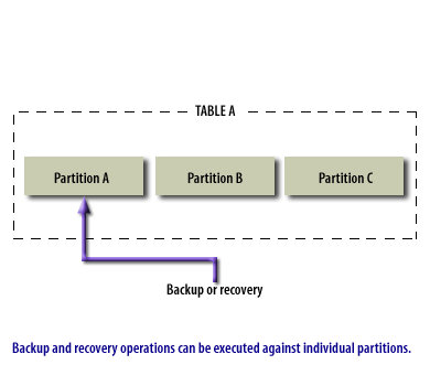 4) Backup and recovery operations can be executed against individual partitions