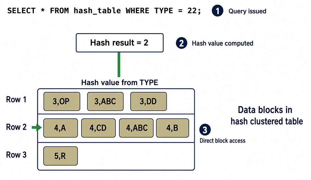 User issues a SELECT statement using the cluster key, initiating hash-based lookup in the cluster.