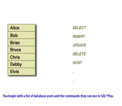 You begin with a list of database users and the commands they can use in SQL *Plus