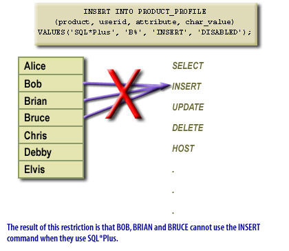 The result of this restriction is the that BOB, BRIAN and BRUCE cannot use the INSERT command when they use SQL * PLUS. 