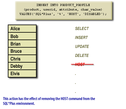 This action has the effect of removing the HOST command from the SQL *Plus environment.