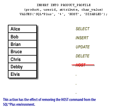 This action has the effect of removing the HOST command from the SQL *Plus environment.