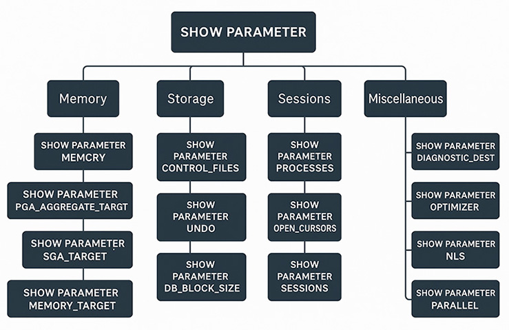 show-parameter-examples