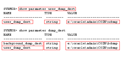 Show parameter values