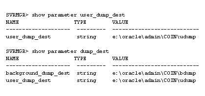 Show parameter values