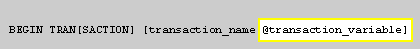 2) @transaction_variable is the name of your transaction as stored in a variable.