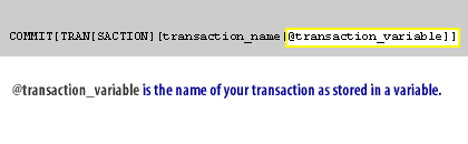 @transaction_variable is the name of your transaction as stored in a variable