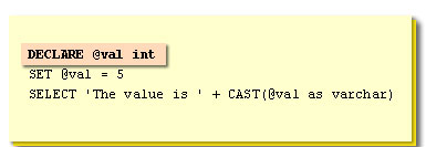 1) Cast Function 1