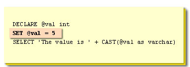 2) Cast Function 2