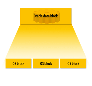 Oracle Data block