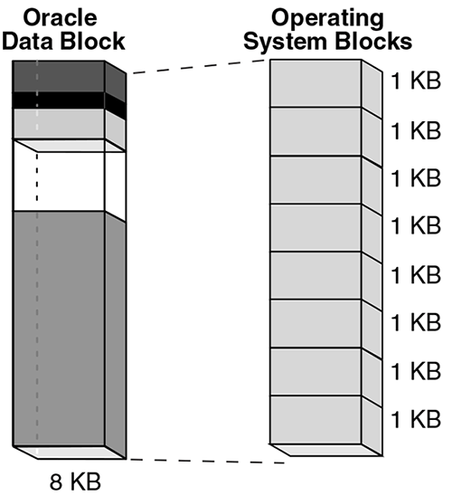Data Blocks and Operating System Blocks