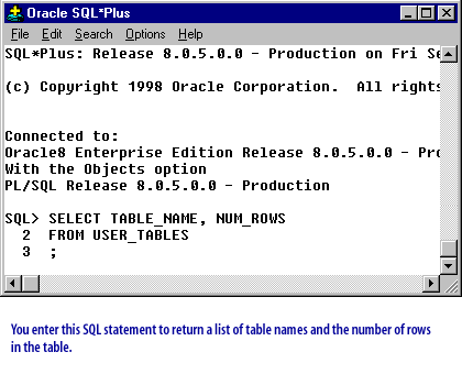 2) You enter this SQL statement to return a list of table names and the number of rows in the table