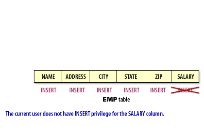 2) The current user does not have INSERT privilege for the SALARY column