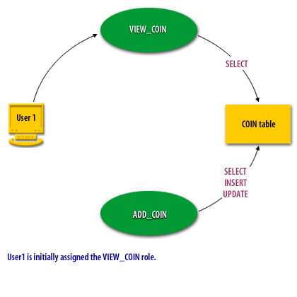 User1 is initially assigned the VIEW_COIN role