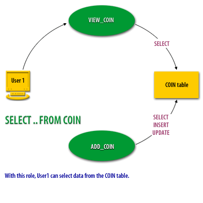 With this role, User1 can select data from the COIN table