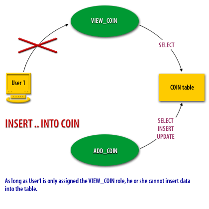 As long as User1 is only assigned the VIEW_COIN role, he or she cannot insert data into the table