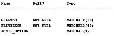 DBA_SYS_PRIVS view