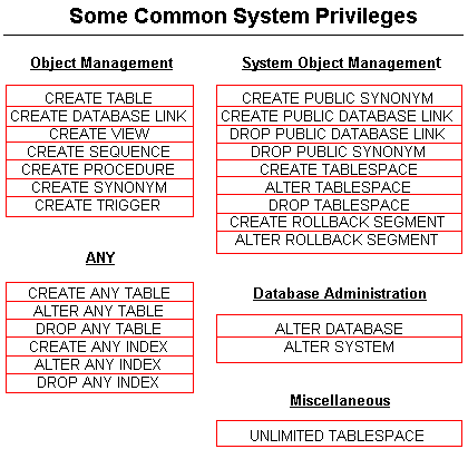 System privileges