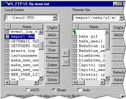 4) Transfer the export file from the master definition site to the new master site via FTP