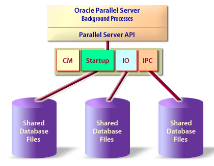 Oracle Parallel Server