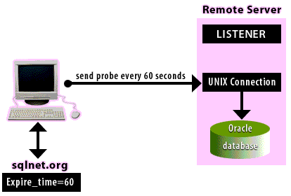 Dead connection detection